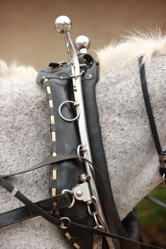 mm-20204-10-02-carriage-twp12a